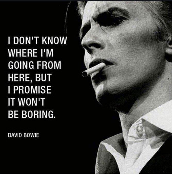 David Bowie Dan Harmsen agree