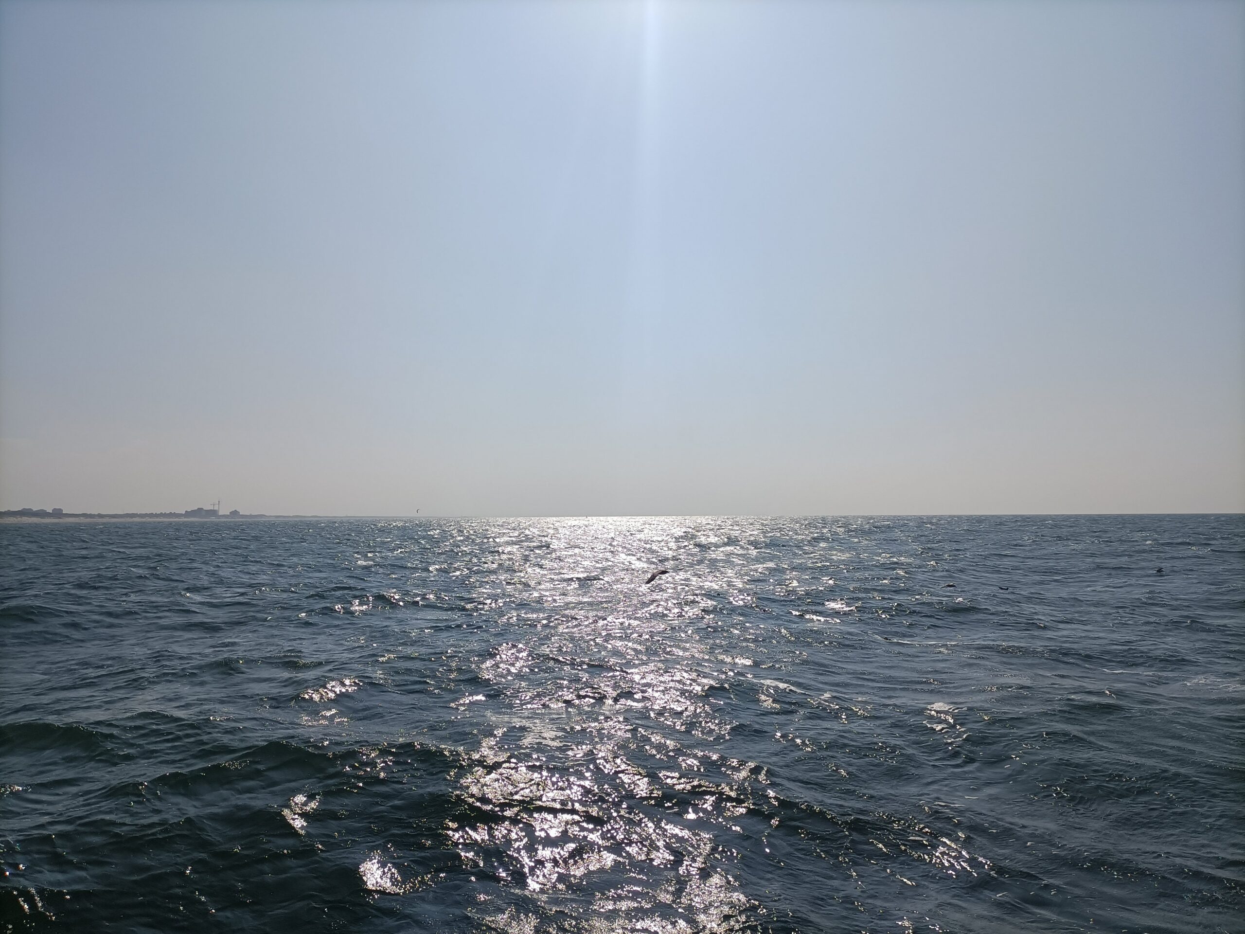 IMG20210903161031